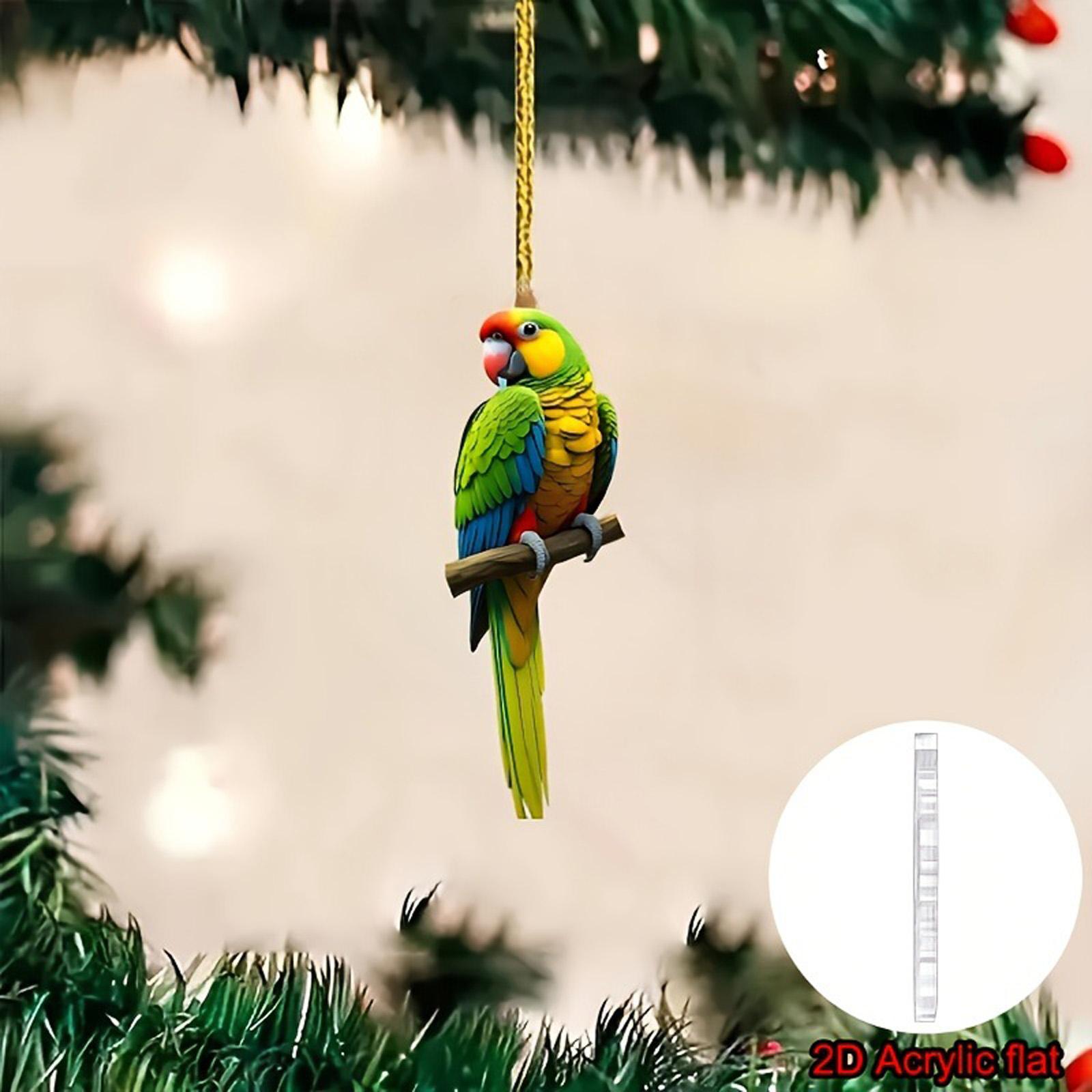 

Unique Flat Acrylic Macaw Car Hanger Fun & Creative Designs Auto Hanging Charm for Windshield Mirror Decoration Gift 1