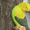 Budgerigar Wall Decor Brilliant Hues Hanging Parrot Statue Resin Avian Decoration Realistic Design Parrot Tree Hanger