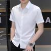 Men's 2025 Summer Wrinkle-Free Ice Silk Short-Sleeve Shirt for Business