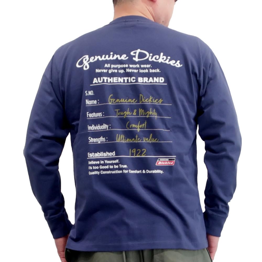 

Men s Dickies T-shirt, long sleeves, sleeve logo, raglan print, oversized silhouette, M, L, XL, 100% cotton, 10001798 (JP, Alphabet, XL, 4401-D.BLUE)