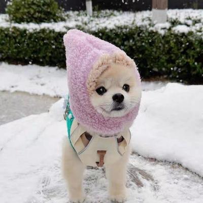 Oblečky a obuv – Čepice pro psy