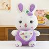 Plush Toy Large Colorful Rabbit Throw Pillow Small White Rabbit Heart Doll Children's Holiday Gift Pet Toy