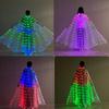 LED Luminous Butterfly Wings - Belly Dance, Fairy Costume, Catwalk Fluorescent Cloak