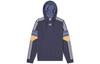Originals Trefoil Sweatshirts Herren Kapuzenpullover Mittlere Passform Regular ED7174