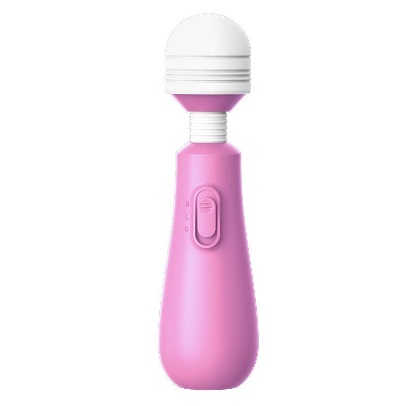 Lelo Dual-Ended Waterproof Rechargeable Vibrator & Clitoral Stimulator for Women