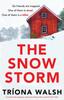 Het Boek The Snowstorm : An Absolutely Gripping, Pulse-pounding Thriller Packed with Twists