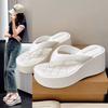 Slope heel summer slippers women's 2025 new outer wear summer sense fashion small height flip-flops sandals