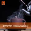 PUSHI TEA MAKER Yixing Zisha Handmade Gongfu Tea Set