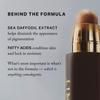 Merit Der Minimalist Perfektionierender Teint Foundation Und Concealer Stick 0,23 Unzen Seide Sehr Hell Warm