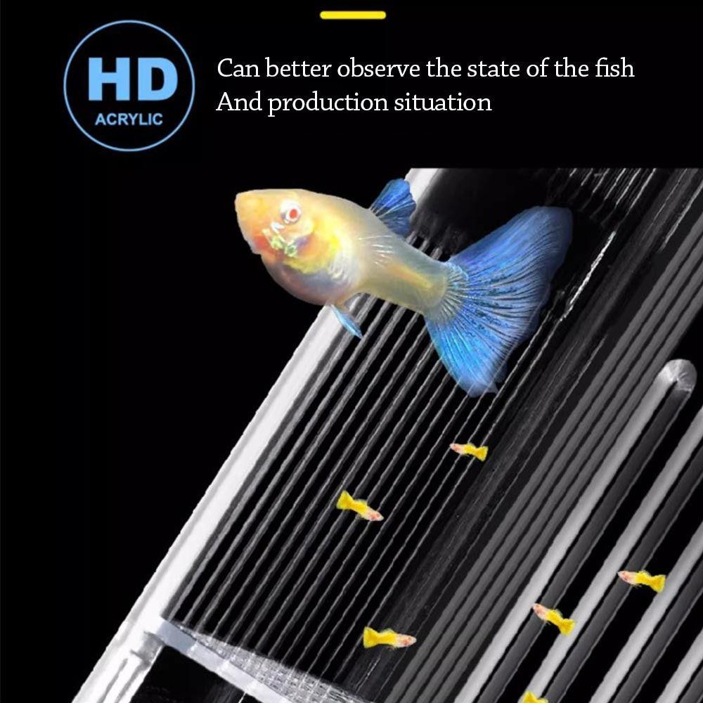 Transparent Fish Breeder Box Clear Frame Floating Hatching Box Aquarium Hatchery Accessory