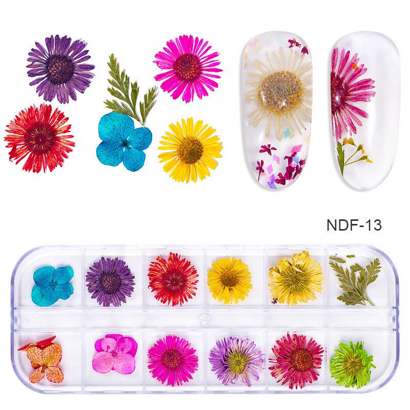 1Box Dried Flowers Dry Plants for Rsein Molds Fillings Epoxy Resin Pendant Tweezers Jewelry Making Craft DIY Nail Art Decoration