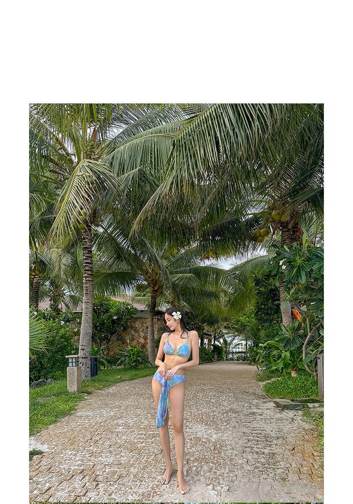 New Swimsuit Female Slim Split 1-piece Set Sexy Senior Ins Internet Celebrity Bikini Vacation Swimsuit Hot Spring