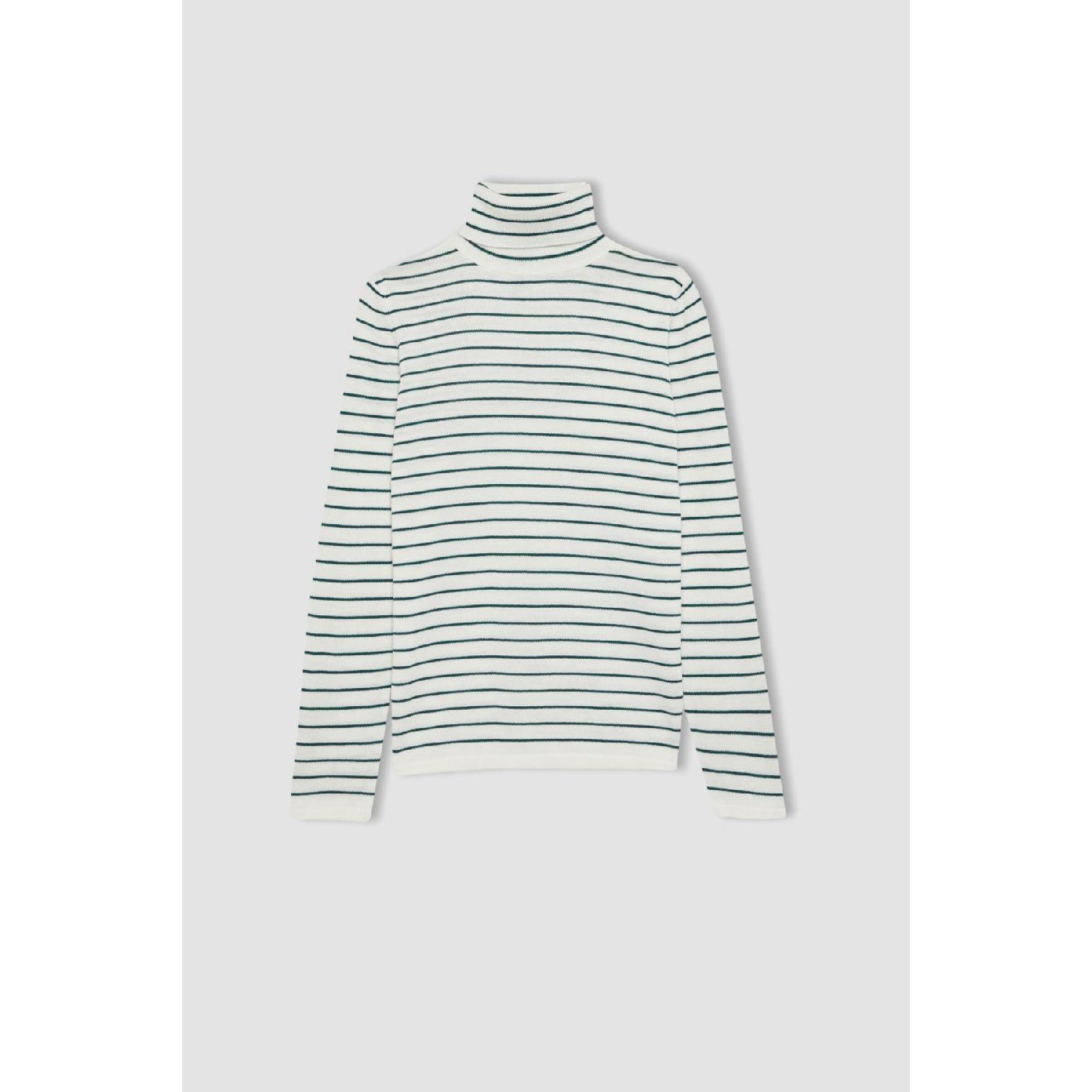 

Regular Fit Turtleneck Basic Sweater A2350ax23wn S чорний