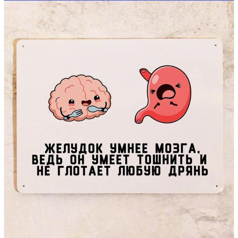 No Brains No Problems Funny Tin Sign 20x30cm, Humor Wall Decor Plaque 30