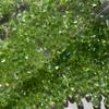 4mm Rhombus Loose Beads for DIY Jewelry: Bracelets, Necklaces, Earrings