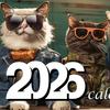 2026 Calendar Jan. 2026 - Dec. 2026 12 Month Calendar with Funny Cat Memes Pics Spiral Bound Wall Calendar for Home Office