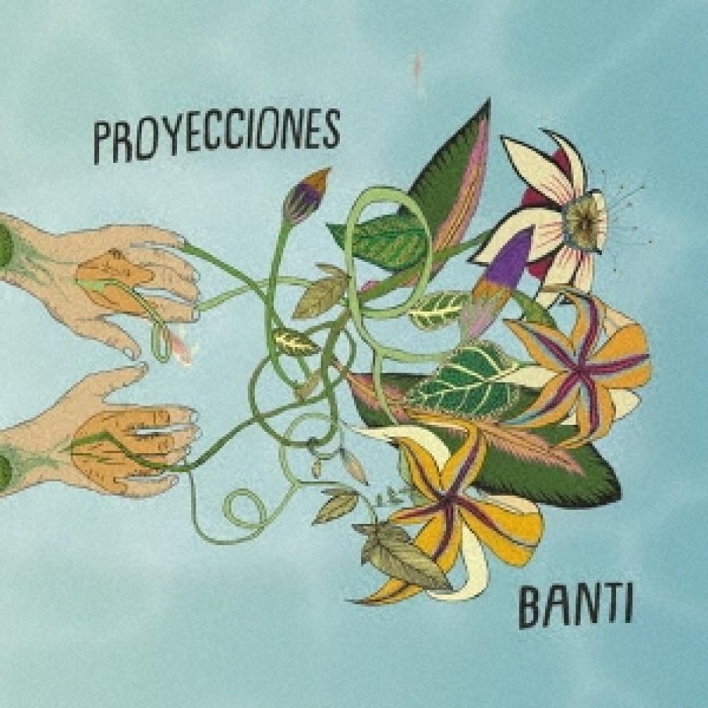 

Banti Proyecciones