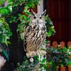 Hanging Fake Bird Repellent Owl Scarecrow Bird Repeller Outdoor Bird Repel Scare Devices  Balcony