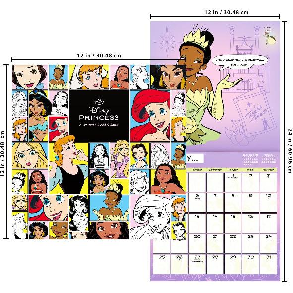 Disney Princess Calendar 2026 - Deluxe 2026 Princesses Wall Calendar Bundle with Over 100 Reminder Stickers Featuring Ariel, Belle, Cinderella, More