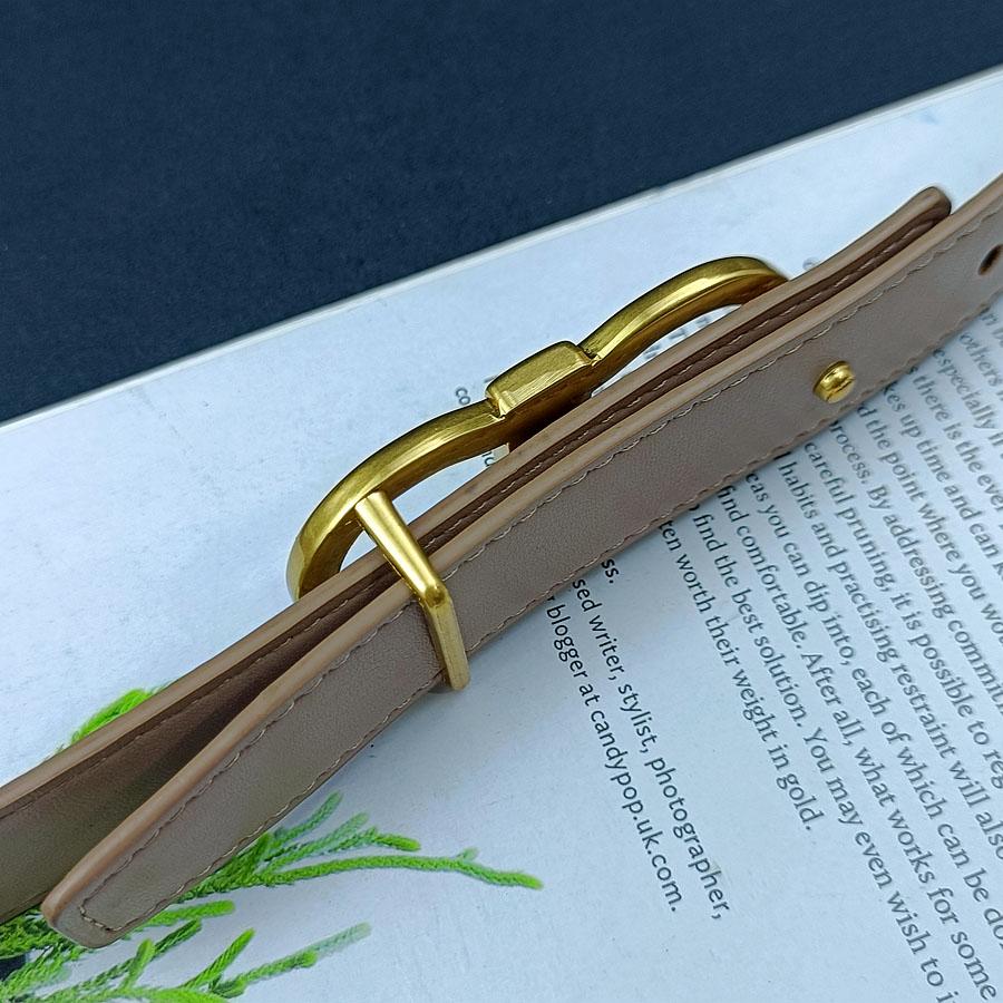 2.5cm Classic Belt Luxury Designer Famous Brand High Quality Leather Hot Women Belts For Dress