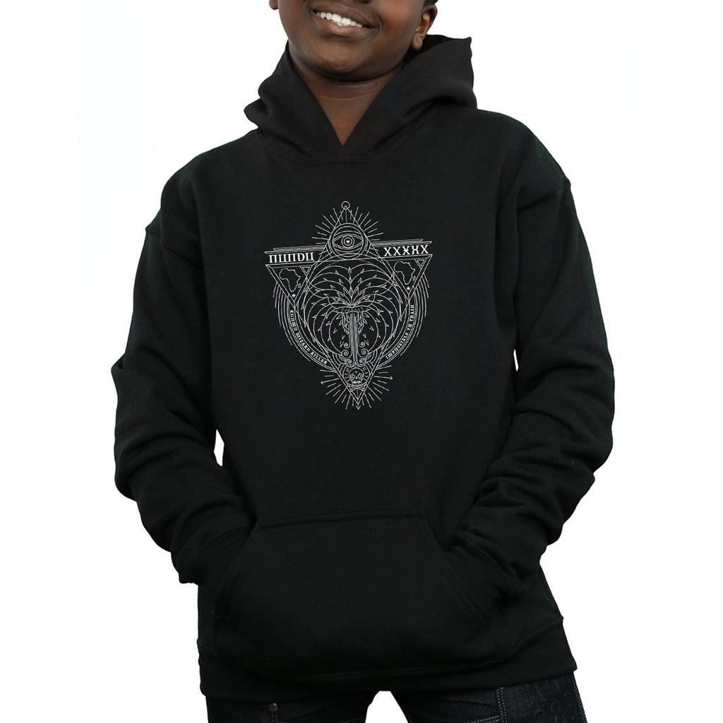 Fantastic Beasts Boys Wizard Killer Icon Hoodie