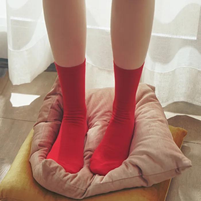 [5SET] Jeje Basic 21-Color Plain Daily Socks