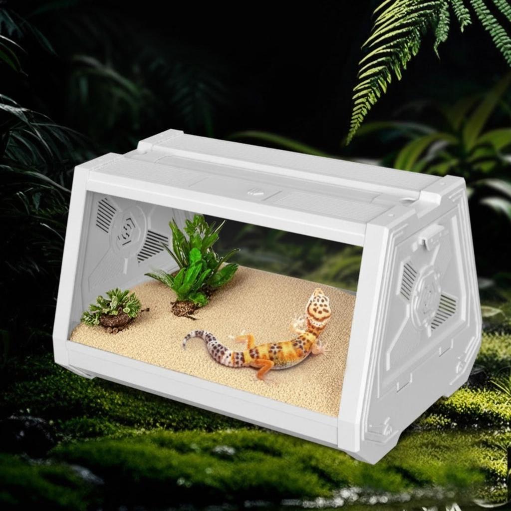 Desktop Pet Enclosure Sturdy Reptile Habitat High Ventilation