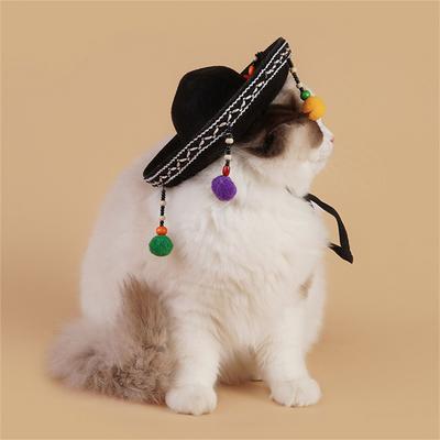 Katter – Kattkläder