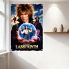 JLM Monson's Labyrinth Gothic Fantasy Metal Tin Sign, Vintage Movie Poster Wall Plaque for Home Bar Club Man Cave Decor