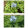 2pcs Bird Windmill With Fast Wind Speed, Light-emitting Orchard And Vegetable Garden Bird Scarer