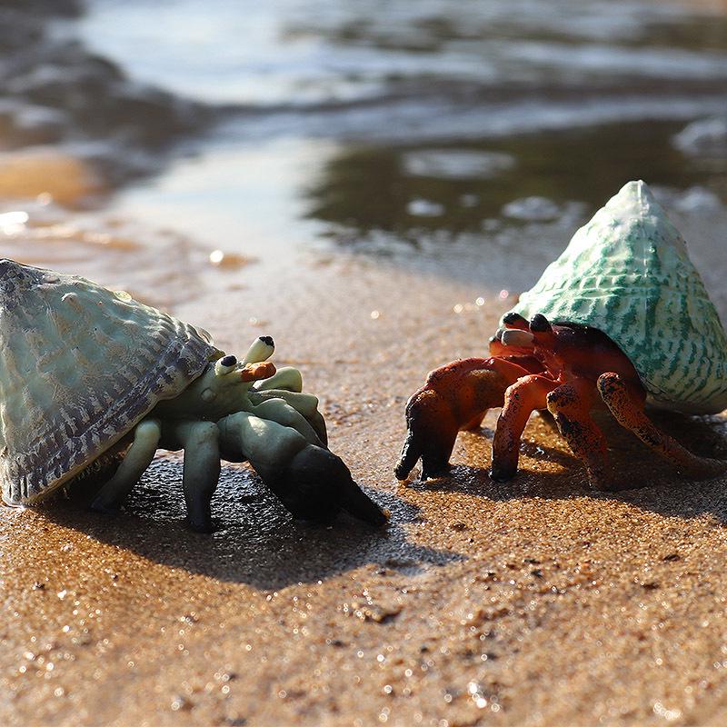 Children's Cognitive Marine Animal Model: Hermit Crab Ornament for Fish Tank