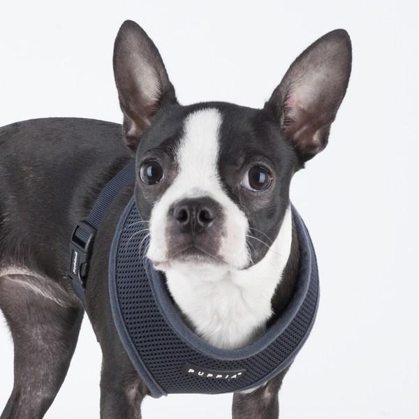 Puppy Puppy Soft Harness A PDCF-AC30, Gray