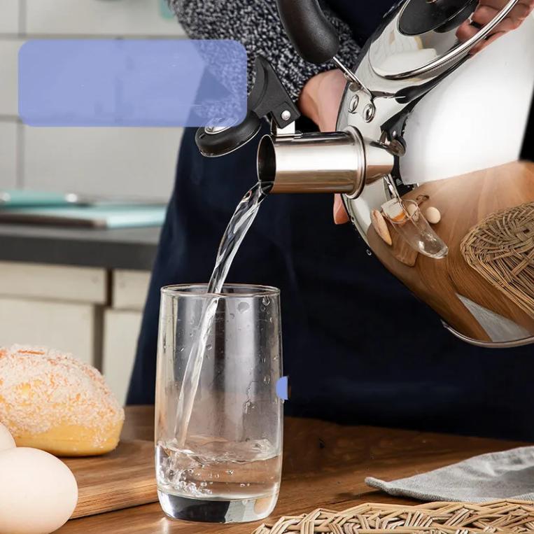 Bollitore in acciaio inossidabile Fischio domestico a gas Bollitore per acqua bollente 3/4/5/6L