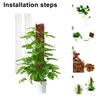 2/4/6Pcs Plant Moss Pole Easy Assembly Climbing Plants Plant Support with Sphagnum Moss Moisture-retaining Plant Support Stake