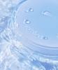 Bear Water Cushion Main Product