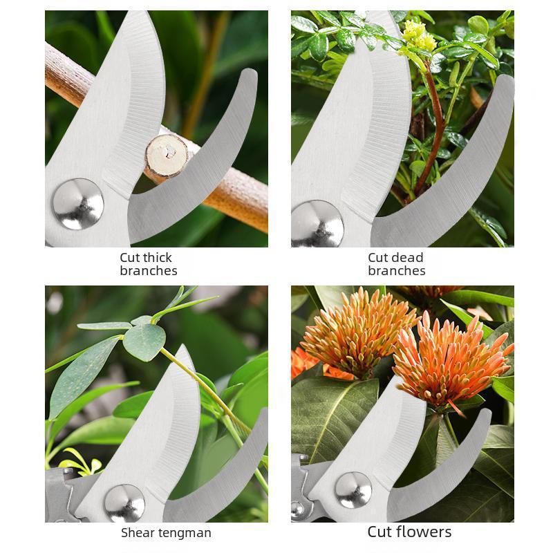 Stainless Steel Pruning Shears for Fruit, Flowers, and Branches - Ideal Gardening Grafting Tool