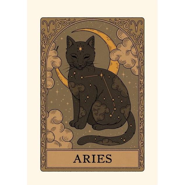 Tapestry Raccoon Aries 75x100 чёрный