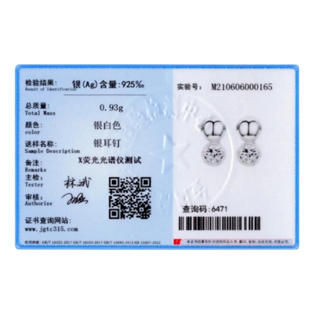Ada Jewelry Trendy Female Korean Style Not Allergic S925 Silver Zircon Stud Earrings