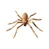 Halloween Realistic Large Decoration Prop for House Party