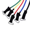 Exercise Kit - PEL - Ss-33 - Resistance Band - Eco-friendly - Unisex - Beginner