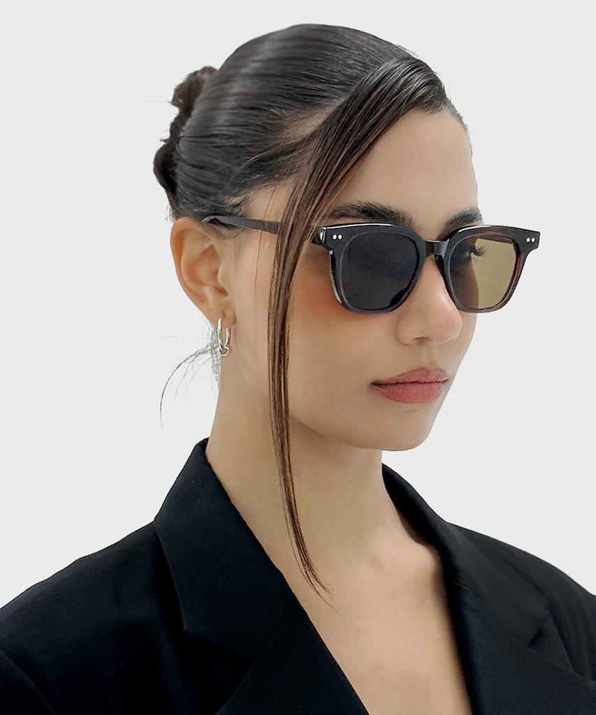 MAISON MASTER Grand Sunglasses Brown