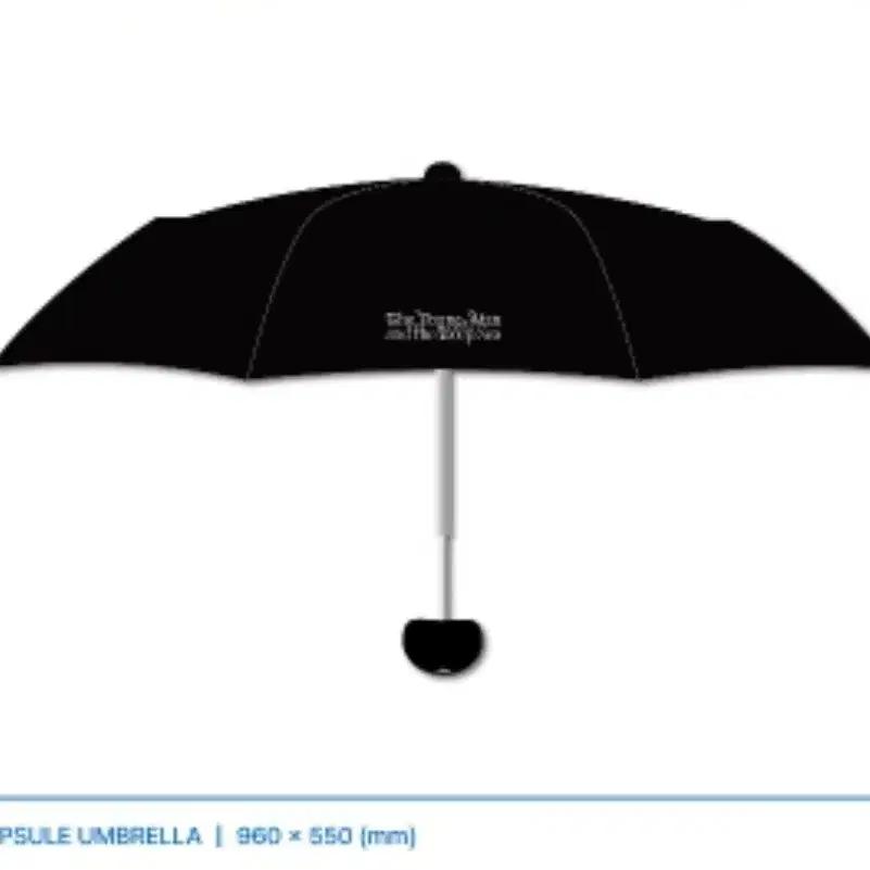 Im Hyun-sik Exhibition MD Umbrella (sealed)