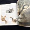 [USED] The New Encyclopedia of the Cat