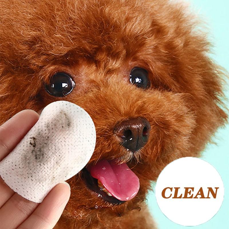 Pets Eye Wipes, Wet Wipes for Cats and Dogs, Universal Smokeless Wipes, Cleaning Products, 130 Canned Wipes