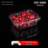 Premium Disposable Transparent Fruit & Vegetable Containers with Lids