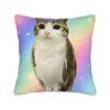 Pillow Case Space Banana Aliens Cat Square  Pillow Cover For Couch Sofa Bedroom Novelty Pillowcases