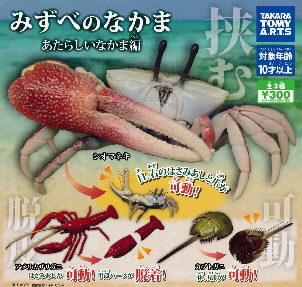 

Mizube no Nakama New Nakama Edition [набор из 3 типов (полный полный)]