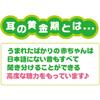 Takara Tomy Disney First English Talking Wobble Toy Winnie the Pooh