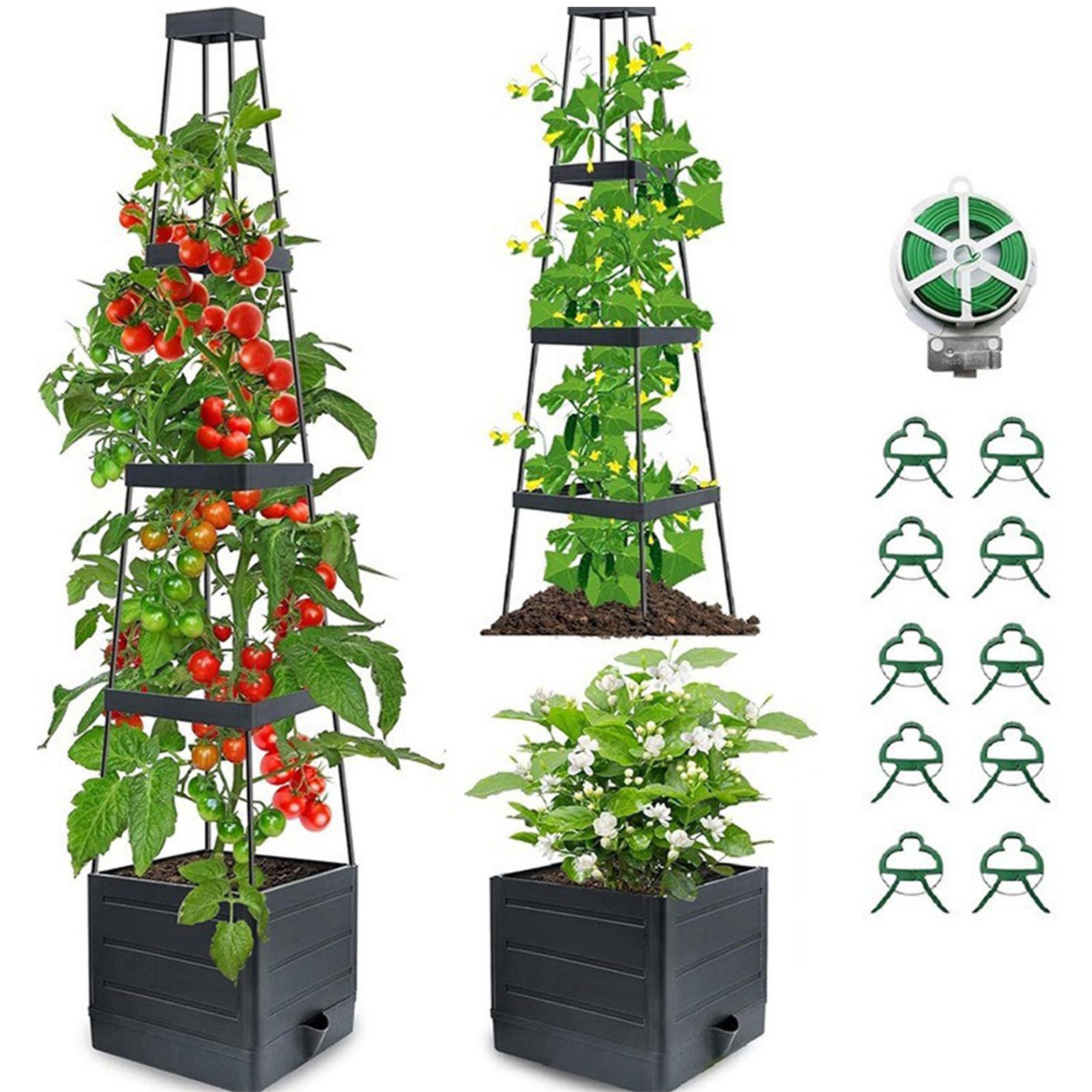 Raised Garden Bed Planter Box with Trellis Tomato Cage Planter Tomato Planters for Patio Greenhouse China Mainland