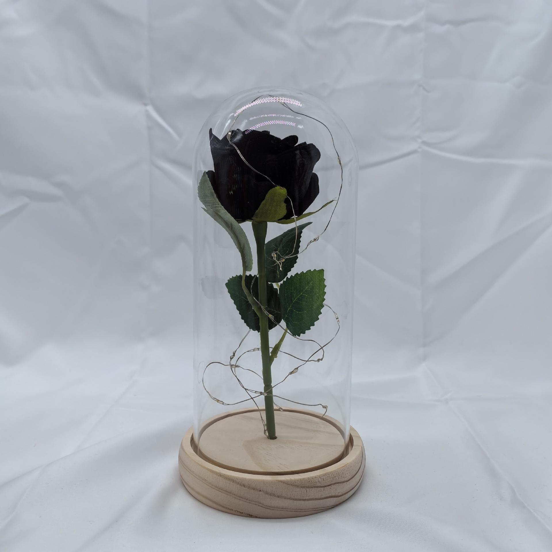 

Never Beauty and the Beast Rose with Rose in Clear Dome with Led Light Powered by Battery Gift for Birthday Wedding Valentines